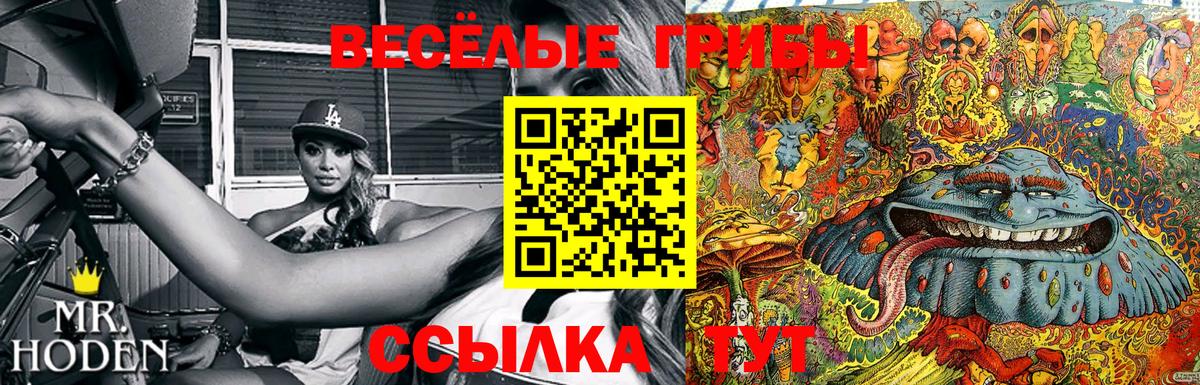 Галлюциногенные грибы ЛСД Альметьевск