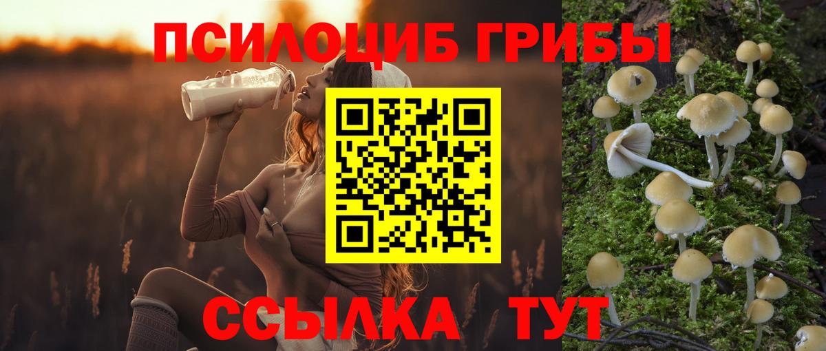 Псилоцибиновые грибы мухоморы  Вход с VPN  купить  цена  Альметьевск 